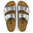 BIRKENSTOCK // ARIZONA BF / SILVER - ::